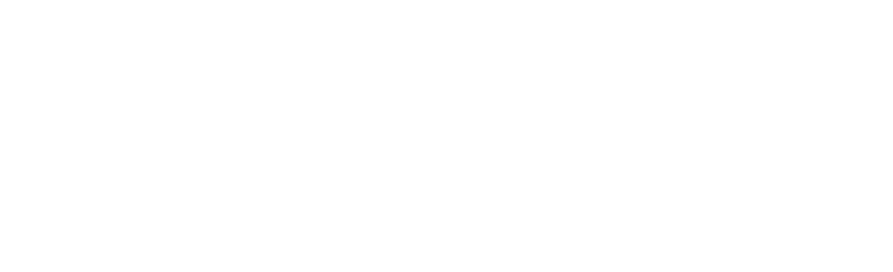 logo light